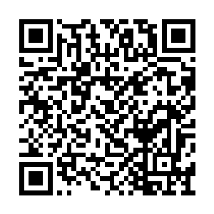 自己只需要在她可能走弯路的时候引导一下即可二维码生成