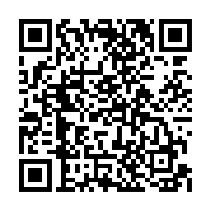 自己只需要用上自己辛苦修炼起来的技能就行了二维码生成