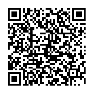 自己可是费劲巴力的把第四层所有的沉疴异莲连花带土全都折腾尽木灵空间里二维码生成