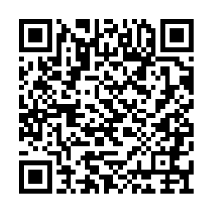 自己可能有这个能力去拿回这颗绝强者的心脏了二维码生成