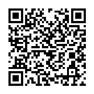 自己和林烽的人生就会像两条相交过后的直线一样二维码生成