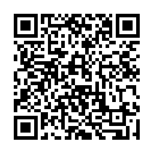 自己和芊芊在东荒幻境森林本源混沌空间的许多好处二维码生成