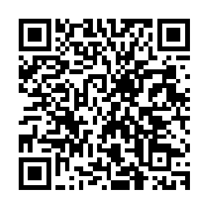 自己和面前的仙人说的是族长在昨日和尖角狮的征战中被杀死的二维码生成
