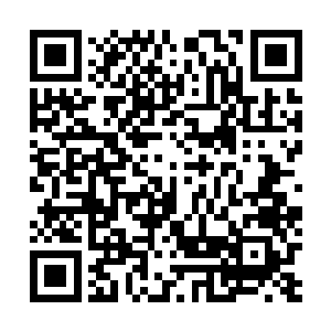 自己和面前这个男人之间的恩怨已经在自己当时递上那份二维码生成
