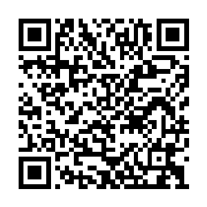 自己嘲讽他这辈子都是没有可能与白菜搭上关系二维码生成