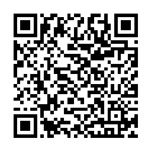 自己在一定的程度上欺负欺负他的确是没有什么问题二维码生成