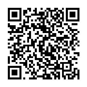 自己在和那个形似琅琊的人琴音对抗之后就什么也不知道了二维码生成