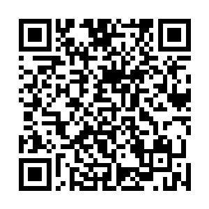 自己在她心里不过如此呀……最后他终于启动了那个禁制二维码生成