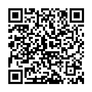 自己在客厅里可以很清楚地看到里面的朦胧身影二维码生成