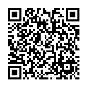 自己在寄魂驾兽的状态下是否会被追魂灵蝶发现二维码生成