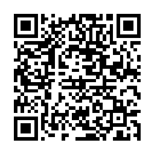 自己在网络上面还真的就找寻过丁羽丁叔叔的资料二维码生成