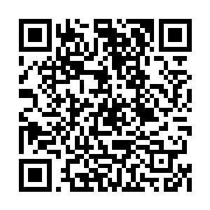 自己在贺运仙脉唯一个得一提的就是这个称号了二维码生成