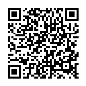 自己在轩辕之丘设局干掉大司农的可能性将大大的提高二维码生成