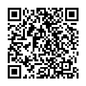 自己在这个方面是不是显得有那么一些太弱智了二维码生成