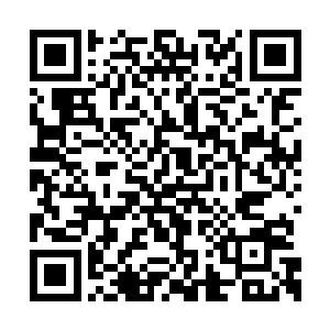 自己夸言自己的宝贝徒弟未来必然是红尘第一人二维码生成