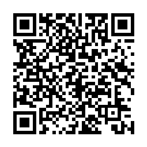 自己好仔细看看张陟有没有小型弩炮投掷出去的火药弹炸死二维码生成