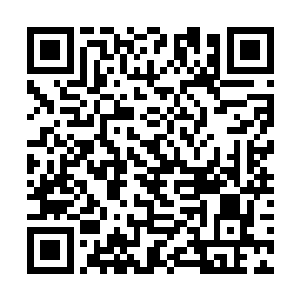 自己家的这个女主人就总搞出来一些啼笑皆非的事情二维码生成