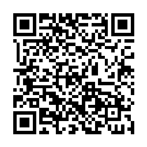 自己就因为中了这种阴霾毒气功力消散这才被弥天宗主二维码生成