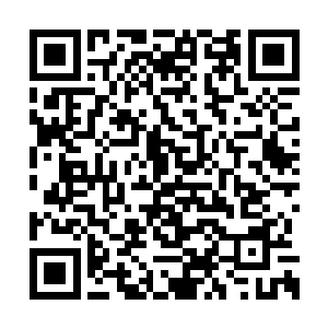 自己就是再说自己没有得到金丹真人的洞府藏真二维码生成