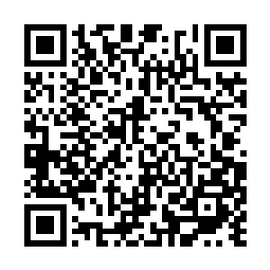 自己就脑补各种烤鸡烤兔香喷喷油嗞嗞的画面……二维码生成