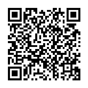 自己居然从对于柔道的一无所知一瞬间变成了理论高手二维码生成