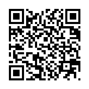 自己居然看到了一条会打字的毛毛虫二维码生成