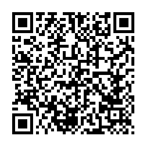 自己岛上没有蚊子是因为自己在岛上湿润的几块地上种了不少的蒲叶二维码生成