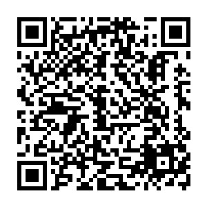 自己已经从能够释放出宝器拳水属性拳技的两层威能直接提升到了六层威能二维码生成