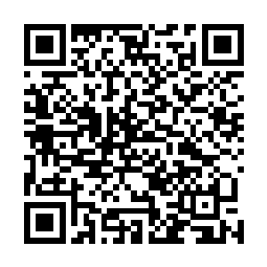 自己已经太深的卷入这北伐大军牵连的汴梁朝堂斗争当中二维码生成