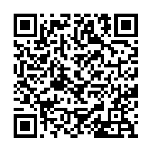 自己已经将茂城中获得的妖怪信息全部清理完了二维码生成