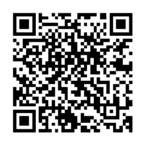 自己已经没有丝毫反抗之力了……结果身上的绳索却越挣越紧二维码生成