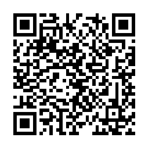 自己已经躲开了荒古进出入口找了个安全地方躲避二维码生成