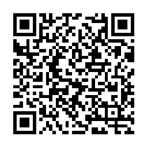 自己布置下的三十四株噬血妖藤也缠住了那黑鳖精二维码生成