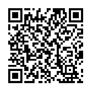 自己带来的人或前前后后安排进来的人要么被赶出了城二维码生成