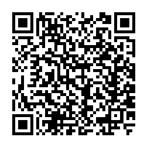 自己当初将那颗来自远古洞府空间碎片内的人参果树让陶弘景转交给五庄观之后二维码生成