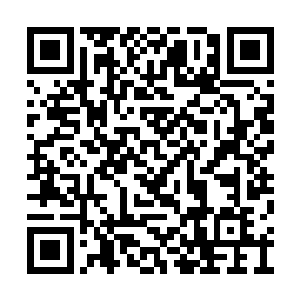 自己快要沉溺在特蕾莎美眸中摄人心魄的力量里二维码生成