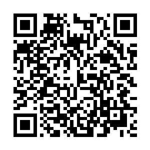 自己怀里的澹台明月可是水泉电视台最漂亮的主持人二维码生成