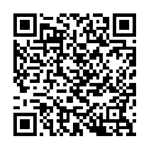 自己怎么会把这个笨蛋拉进自己的战斗序列里来二维码生成