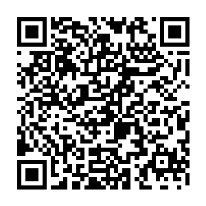 自己怎么就没有想到苏紫萱真的有可能跟着林烽一起上台表演的可能性呢二维码生成