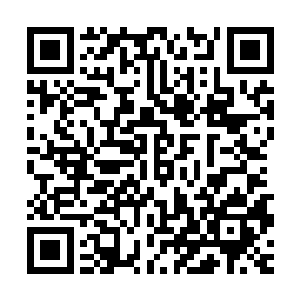 自己恢复了完全的灵魂控制权就能够将眼前的无名和柳清寒杀掉二维码生成