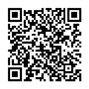 自己或许能够从奥利多娜的口中得知剑尘究竟忌惮什么二维码生成