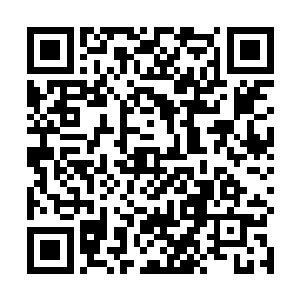 自己手中的这个下品先天仙宝竟然不能够一下子斩断它二维码生成