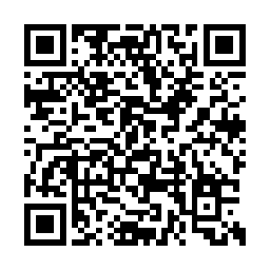 自己手里面也就是李象这么一个能够撑得起来的二维码生成