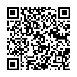 自己才不会趁爸爸妈妈不在家给他打什么电话呢二维码生成