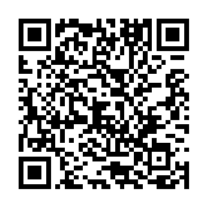 自己抓着绳索朝着郑国栋所在的凹槽一步步的下放二维码生成
