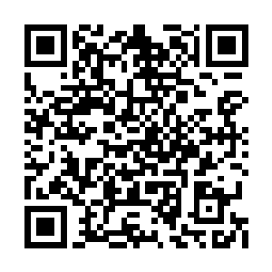 自己抛出这么多宝贝就是连让他犹豫一番都没有二维码生成