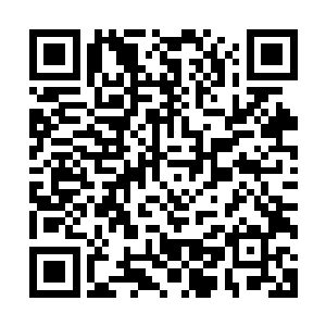 自己撑开神之领域不过是避免战斗的余波摧毁自己的金属生命二维码生成