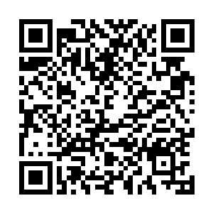 自己斩杀第一头金刚巨猿就爆出一件灵虚奇宝是有多么逆天二维码生成