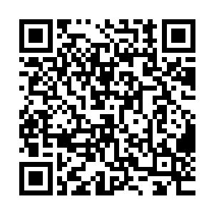 自己既有悟道茶而且只要找到罗红草就能够炼制出来九天玄丹二维码生成