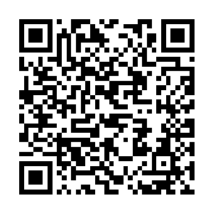 自己是认准一团散发着金色光芒的入口进入此地的二维码生成